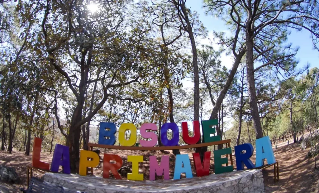 Qué hacer cerca de Ferrara Vertical: actividades al aire libre en Zapopan
